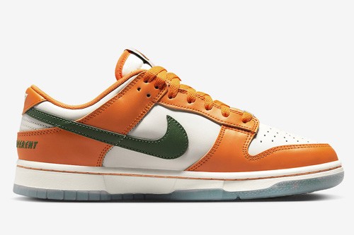 Nike Dunk Low “Florida A&M” - DR6188-800